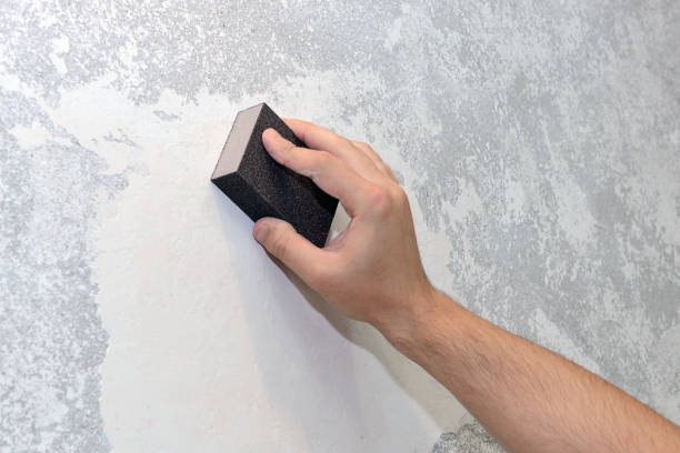 Best HVAC Mold Inspection and Cleaning  in North St Paul, MN