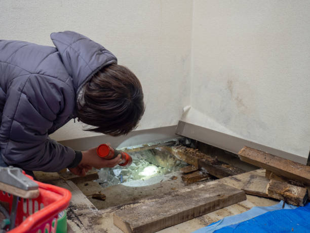 Best Dehumidification Services  in North St Paul, MN