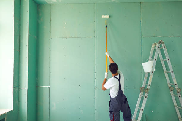 Best Mold Prevention Services  in North St Paul, MN