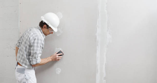 Best Comprehensive Air Testing for Mold Contaminants  in North St Paul, MN