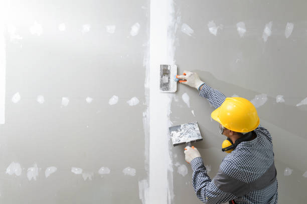 Best Commercial Mold Inspection  in North St Paul, MN