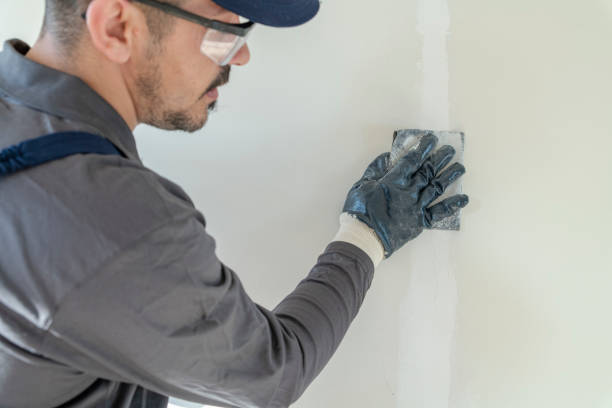 Mold Remediation for Vacation Homes in North St Paul, MN