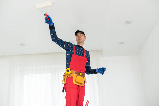 Best Real Estate Mold Inspection  in North St Paul, MN