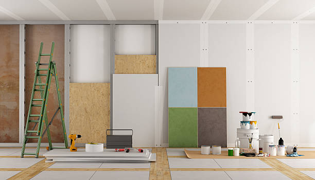 Trusted North St Paul, MN Mold Removal Experts