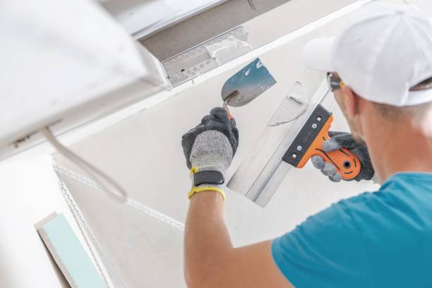 Best Comprehensive Air Testing for Mold Contaminants  in North St Paul, MN